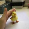 WellieSTR Little Duck Needle Felting Kit,Felting Kit for Beginners Adult and Craft Kit, Unique Felt Animals, Felting Tools Included Felting Needles, Felting Pad, Felting Wool and Instruction view 1