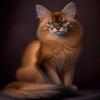 DIY Diamond Painting Kits for Adults, Cute Somali cat Round Full Drill 5D Diamonds Gem Art Drill Home Decoration Kits and Room Wall Decor 12x16 inch view 1