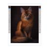 DIY Diamond Painting Kits for Adults, Cute Somali cat Round Full Drill 5D Diamonds Gem Art Drill Home Decoration Kits and Room Wall Decor 12x16 inch view 2