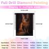 DIY Diamond Painting Kits for Adults, Cute Somali cat Round Full Drill 5D Diamonds Gem Art Drill Home Decoration Kits and Room Wall Decor 12x16 inch view 3