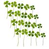 24pcs Dried Pressed for Crafts Scrapbooking and Home Decor Plant Specimens for Art and Creative Projects view 1