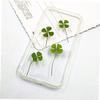 24pcs Dried Pressed for Crafts Scrapbooking and Home Decor Plant Specimens for Art and Creative Projects view 4