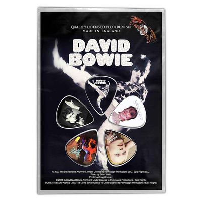 David Bowie - The Man Who Sold the World Guitar Picks (Set of 5)