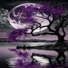 Purple Tree & Full Moon Diamond Painting - Oil Painting Lake Diamond Art Kits for Adults, Full Round Gemstone Crystal Cross Stitch Kit, for Wall Decor & Club Decor (16 X 24 Inch) view 1