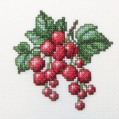 RTO Cross Stitch Embroidery Kits for Kids, Adults and Beginners Flowers - Redcurrant 10x10cm/3.9x3.9 14CT