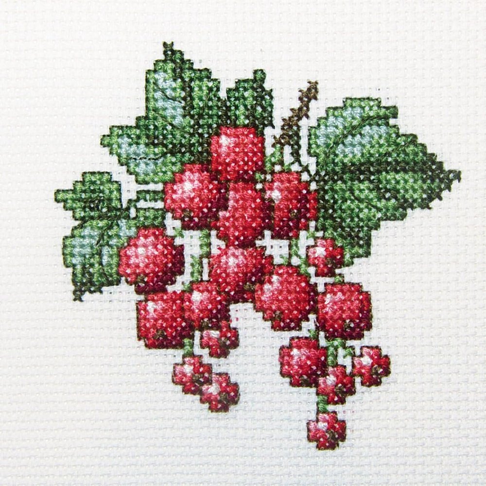 RTO Cross Stitch Embroidery Kits for Kids, Adults and Beginners Flowers - Redcurrant 10x10cm/3.9x3.9 14CT