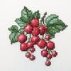 RTO Cross Stitch Embroidery Kits for Kids, Adults and Beginners Flowers - Redcurrant 10x10cm/3.9x3.9 14CT view 1
