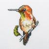RTO Cross Stitch Embroidery Kits for Kids, Adults and Beginners Birds - Hummingbird 10x10cm/3.9x3.9 14CT view 1