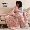 Bernat Blanket Extra Thick Green Frost Yarn - 1 Pack of 21.12oz/598.74g - 100% Polyester - #7 Jumbo - 72 Yards - Chunky Yarn for Hand Knitting, Crocheting, Crafts & Amigurumi view 4