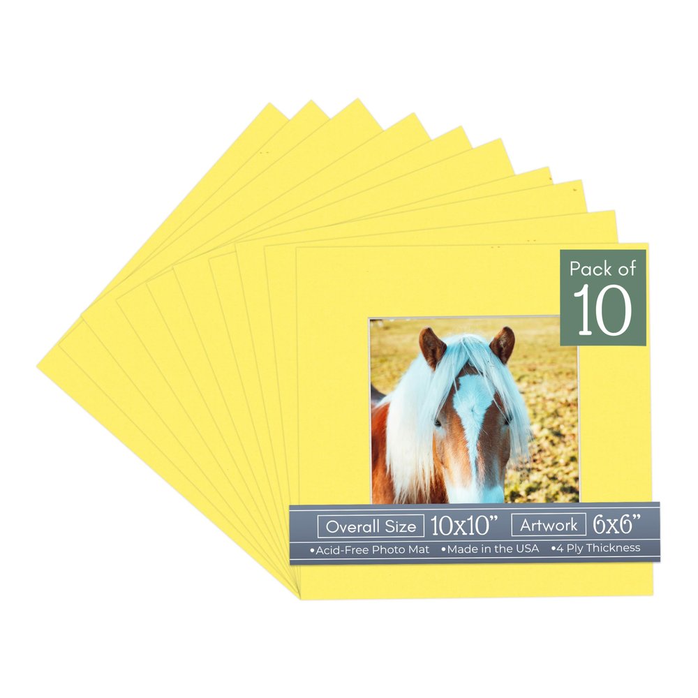 CountryArtHouse Yellow Acid Free 10x10 Square Picture Frame Mat with White Core Bevel Cut for 6x6 Pictures - Fits 10x10 Frame - Pack of 10 Matboard Show Kits with Acid Free Backings & Clear Bags