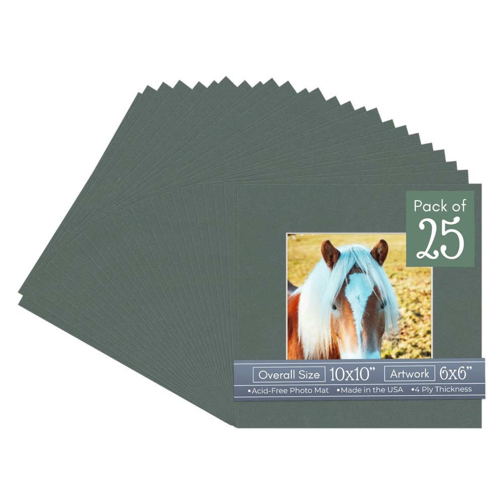 CountryArtHouse Charcoal Acid Free 10x10 Square Picture Frame Mat with White Core Bevel Cut for 6x6 Pictures - Fits 10x10 Frame - Pack of 25 Matboard Show Kits with Acid Free Backings & Clear Bags