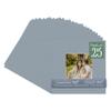 CountryArtHouse Mid Grey Acid Free 8x8 Square Picture Frame Mat with White Core Bevel Cut for 4x4 Pictures - Fits 8x8 Frame - Pack of 25 Matboard Show Kits with Acid Free Backings & Clear Bags view 1