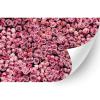 HTV4U Puff Floral Heat Transfer Vinyl (Pink Roses, 20" x 1 Yard) - Patterned 3D Printed Iron on Vinyl, Heat Press Paper for T-Shirt, DIY Craft view 1