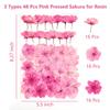 48 Pcs Mix Natural Dried Pressed Cherry Blossoms for Floral Cake Decorating, Cocktail Garnish, Resin Jewelry Making, DIY Art Crafts (Pink Sakura) view 2