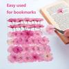 48 Pcs Mix Natural Dried Pressed Cherry Blossoms for Floral Cake Decorating, Cocktail Garnish, Resin Jewelry Making, DIY Art Crafts (Pink Sakura) view 3