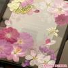 48 Pcs Mix Natural Dried Pressed Cherry Blossoms for Floral Cake Decorating, Cocktail Garnish, Resin Jewelry Making, DIY Art Crafts (Pink Sakura) view 4