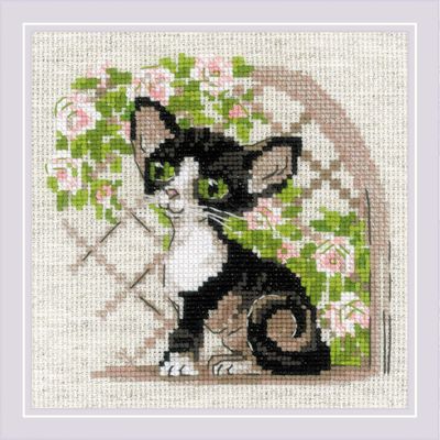 RIOLIS - Cornish Rex Kitten 2121, Cross Stitch Kits 6"x6", Cross Stitch Kits for Beginners & Advanced, Crossstitching Kit Adult, Embroidery Counted Stitching Kit