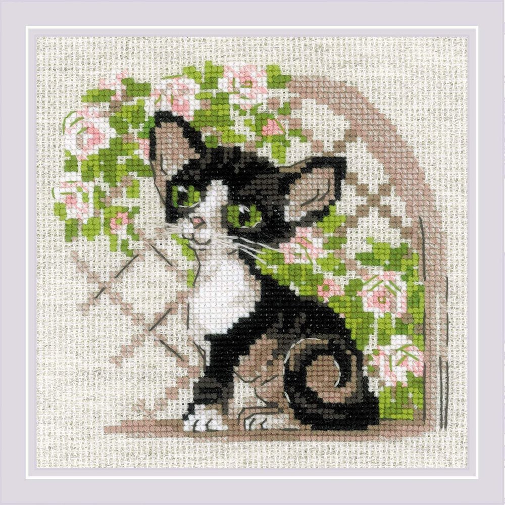 RIOLIS - Cornish Rex Kitten 2121, Cross Stitch Kits 6"x6", Cross Stitch Kits for Beginners & Advanced, Crossstitching Kit Adult, Embroidery Counted Stitching Kit