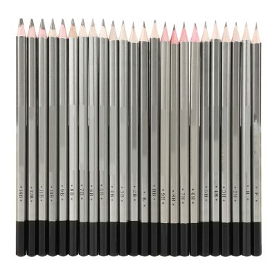 QANYEGN 24Pcs Ding Pencil Set, Sketch Art Graphite Pencils, Wood Charcoal Ding Set, Colored Paint Pencil Kit for Artists