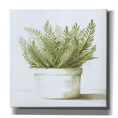 Epic Graffiti'Potted Fern' by Dogwood Portfolio, Giclee Canvas Wall Art, 40"x60"
