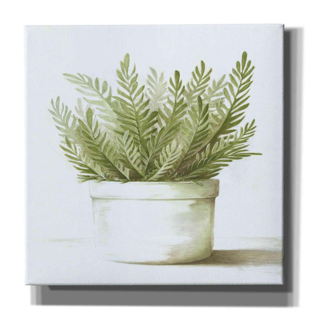 Epic Graffiti'Potted Fern' by Dogwood Portfolio, Giclee Canvas Wall Art, 40"x60"