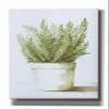 Epic Graffiti'Potted Fern' by Dogwood Portfolio, Giclee Canvas Wall Art, 40"x60" view 1