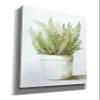 Epic Graffiti'Potted Fern' by Dogwood Portfolio, Giclee Canvas Wall Art, 40"x60" view 2