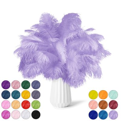 NEWONG 30pcs Light Purple Ostrich Feathers Natural Bulk 11-14inch(28-35cm) Vase Craft Wedding Home Party Centerpieces Christmas Day Decoration