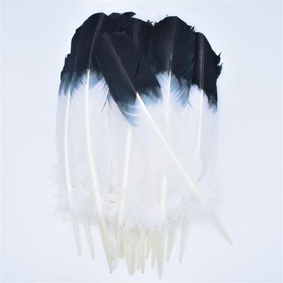 Turkey Feathers Wing Quill Feather Black Tipped Feathers for Crafts Feathers for Clothes Feather DIY 10 Piece
