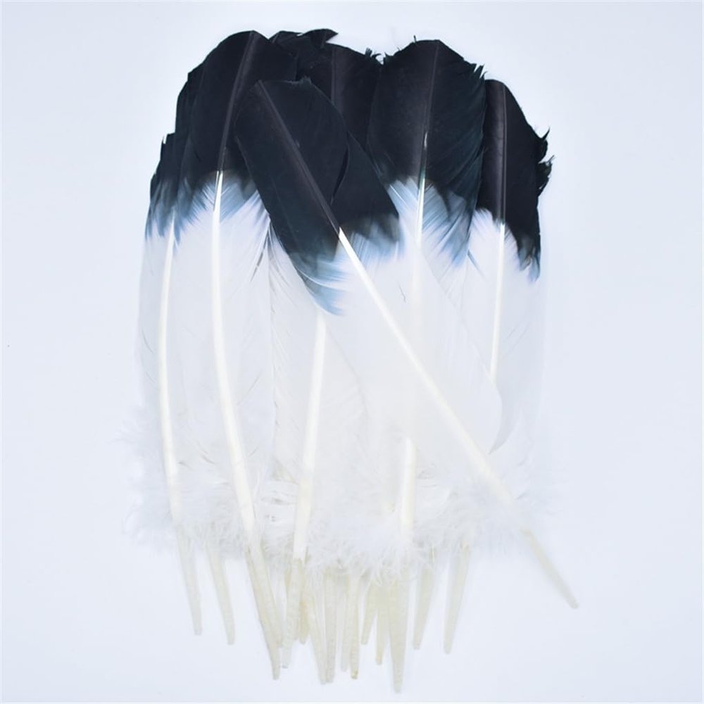 Turkey Feathers Wing Quill Feather Black Tipped Feathers for Crafts Feathers for Clothes Feather DIY 10 Piece