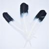 Turkey Feathers Wing Quill Feather Black Tipped Feathers for Crafts Feathers for Clothes Feather DIY 10 Piece view 3