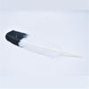 Turkey Feathers Wing Quill Feather Black Tipped Feathers for Crafts Feathers for Clothes Feather DIY 10 Piece view 4
