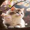 RMSGOZO Animal Diamond Painting Kits - Sakura Cute Cat Diamond Art for Adultss 8 X 12 Inch, Full Circle Crystal Diamond Painting Rhinestone Crafts Kit, for Room Decor Home Decor Gifts view 1