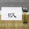 VeroCh Chinese Calligraphy Writing sumi with roll-up Brush Japanese Brush Painting kit Writing Brush Chinese Calligraphy Brush Kanji Japanese Painting Drawing Brushes view 3