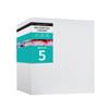 PIXY CANVAS Value Pack of 5 Stretched Canvas 17x17 inch, 1-1/2 (1.5) inch deep for Your Paintings/Artwork/Wall Art/Wall Decor (Pack of 5 Canvas, 17 x 17 inch, Square) view 1