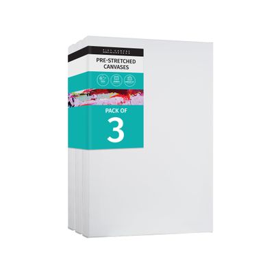 PIXY CANVAS Value Pack of 3 Stretched Canvas 10x18 inch, 1-1/2 (1.5) inch deep for Your Paintings/Artwrok/Wall Art/Wall Decor (Pack of 3 Canvas, 10 x 18 inch, Portrait)