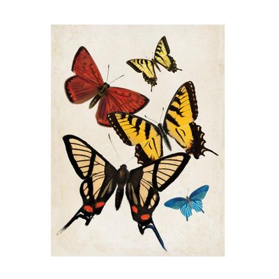 Canvas Wall Art - Wild Apple Portfolio 'Vintage Butterfly II' Wall Art for Living Room, Bedroom, or Office Dcor by Trademark Fine Art