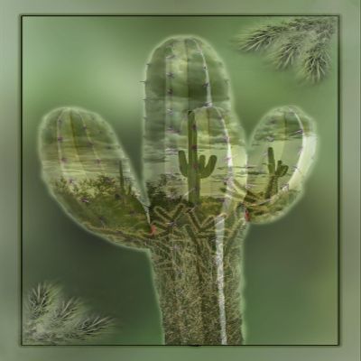 Large Cactus Within a Cactus Quilt Panel, Panel Size is 29.5 X 42- DCS-015, Southwest Quilting Fabric