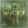 Large Cactus Within a Cactus Quilt Panel, Panel Size is 29.5 X 42- DCS-015, Southwest Quilting Fabric view 1
