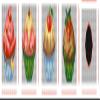 Crafting Spark Counted Cross-Stitch Kit on Plastic Canvas with Cupcakes. Cute Chart 5.12x4.72x4.72 inches 162CS. 7 Count Plastic Canvas Sheets. Perfect for Embroidery & Needlecraft Amateurs view 2