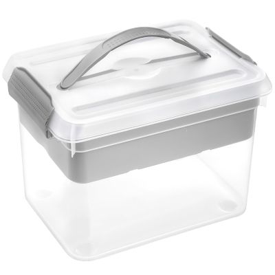 Yesland Portable Craft Storage Box with Removable Tray and Handle, 16x11x6.5 Inch Plastic Art Supply Organizer Container for Stationery, Sewing, Jewelry - Grey