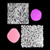 CoolDIY Polymer Clay Floral Texture Stamp Sheets for Clay Jewelry and Earrings Making - Set of 2 Unique Patterns Premium Silicone (Group 5) view 1