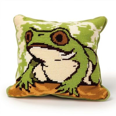 Latch Hook Pillowcase Kits Frog Latch Hook kit Pillow Cover Throw Pillow Embroidery Craft Kits for Beginner DIY Latch Hook Rug Kit with Printed Canvas Christmas Decoration 43x43cm(112)