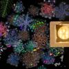 Yoksas 120 Pieces Fantasy Snowflake Stickers - Transparent, Waterproof, Holographic Christmas Decorations Winter Stickers for Junk Journals, Scrapbooking, Gift Wrapping view 1