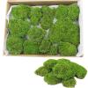 FAICOIA Preserved Moss Bulk Green Natural Preserved Pole Moss Pillow for Potted Plants 2.5 sq.ft Green Moss Balls for Bowls Wall Art Terrariums Crafts Fairy Gardens Easter Table Decor view 1