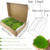 FAICOIA Preserved Moss Bulk Green Natural Preserved Pole Moss Pillow for Potted Plants 2.5 sq.ft Green Moss Balls for Bowls Wall Art Terrariums Crafts Fairy Gardens Easter Table Decor view 2