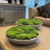 FAICOIA Preserved Moss Bulk Green Natural Preserved Pole Moss Pillow for Potted Plants 2.5 sq.ft Green Moss Balls for Bowls Wall Art Terrariums Crafts Fairy Gardens Easter Table Decor view 3