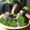 FAICOIA Preserved Moss Bulk Green Natural Preserved Pole Moss Pillow for Potted Plants 2.5 sq.ft Green Moss Balls for Bowls Wall Art Terrariums Crafts Fairy Gardens Easter Table Decor view 4