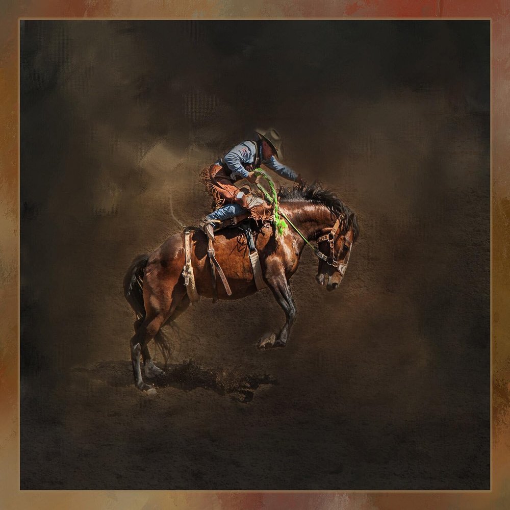 Bronc Rider Two Quilt Panel - CBY-010 - Size 20" x 16", Quality Quilting Cotton, Digitally Printed