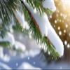 5D Diamond Painting Kits Snow Scene DIY Diamond Art Paint by Number for Adults 20x28in Large Full Square Drill Dots Gem Arts & Crafts Painting Supplies for Home Wall Art Decor 50x70cm W-12393 view 1